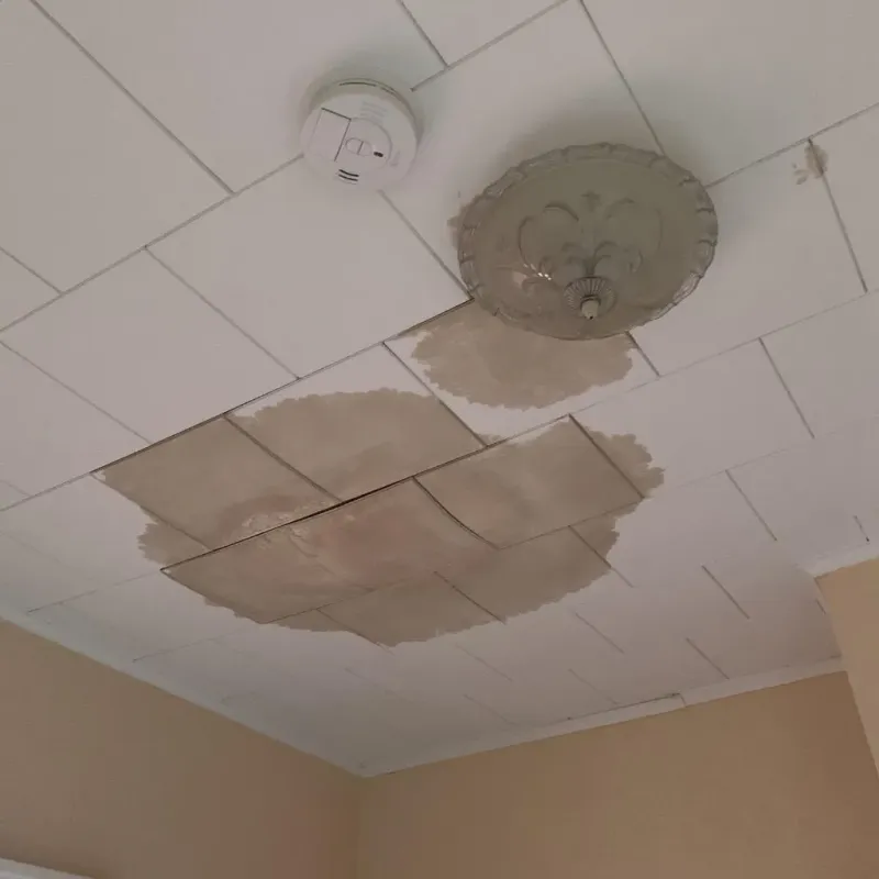 Ceiling Water Damage Repair in Pelahatchie, MS