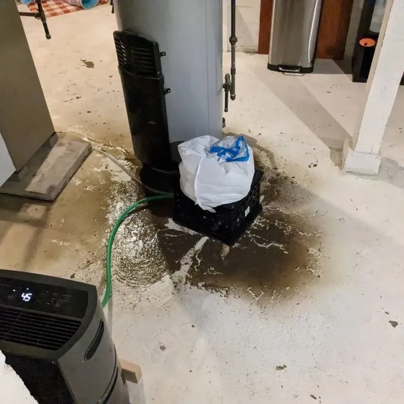 Sewage Backup Cleanup Service in Pelahatchie, MS